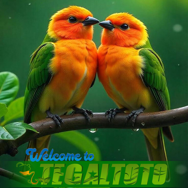 TEGAL TOTO | Link Login Situs Toto Resmi Terpercaya Raih Cuan 100%